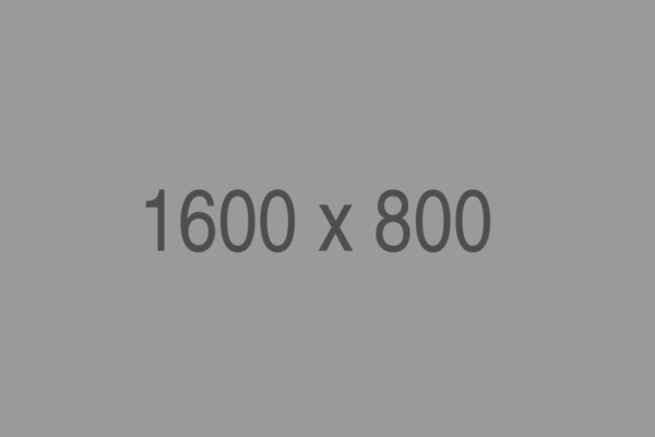 1600x800